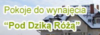 pokoje do wynajęcia