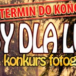 Przedłużamy termin!!!