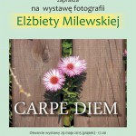 plakat_e_milewska
