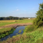 Trwa zabezpieczanie brzegów Gołdapy Trwa zabezpieczanie brzegów Gołdapy