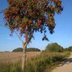 Konkursy dla młodych pasjonatów fotografii i filmu!