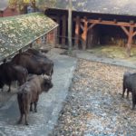 Inni napisali: Możemy być dumni z naszych doświadczeń i osiągnięć Inni napisali: Możemy być dumni z naszych doświadczeń i osiągnięć