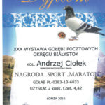 „Lotniki” z Gołdapi straciły szansę na udział w Ogólnopolskiej Wystawie Gołębi Pocztowych
