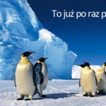 Odbędą się już po raz piętnasty