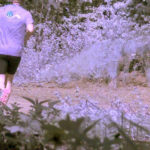 Poranny jogging na… pasie granicznym Poranny jogging na… pasie granicznym