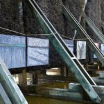 Tężnie przyciągają nie tylko kuracjuszy