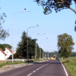 Bociany sejmikują na… lampach Bociany sejmikują na… lampach