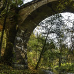 Jesień w Puszczy Rominckiej