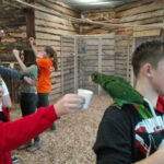 Dzień pełen wrażeń rozpoczęto wizytą w Papugarni