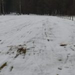 Bieg Jaćwingów odwołany