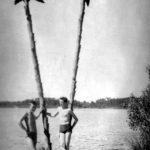 Z naszego archiwum: Gołdapskie palmy były pierwsze