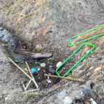 Przyjaciele Przyrody z „Dwójki” zaniepokojeni taki przebudzeniem wiosny