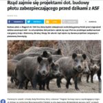 Inni napisali: Rząd o budowie płotu wzdłuż granicy