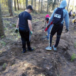Posadzili 100 drzewek