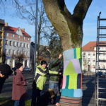 Ubrali parkowe drzewa