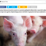 Inni napisali: Nowe ognisko ASF w gminie Gołdap