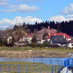 Nie ma „latawca” – ptaszki wróciły