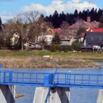 Informacja: organizują w środę spotkanie w sprawie ptaków