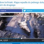 Inni napisali. Aż dwukrotnie w ciągu jednego dnia leśnicy z Nadleśnictwa Gołdap ratowali tego samego łosia