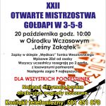 Kolejne Otwarte Mistrzostwa Gołdapi w 3-5-8 już 20 października