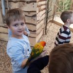 Należało ściągnąć biżuterię i inne ozdoby, aby papugi nie zainteresowały się nimi…