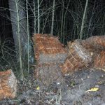 Pościg za szmuglerami Pościg za szmuglerami