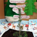 Przyjaciele Przyrody z 1a SP2 w Gołdapi informują: Drzewa, renifery i święta…
