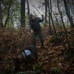 Pies Straży Granicznej wytropił uciekiniera
