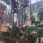 Prośba – kto zniszczył wystawę?