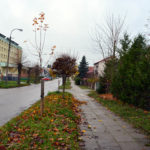 Chodnik będzie remontowany