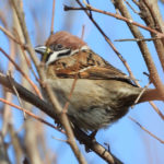 Zapraszamy do uczestnictwa w konkursie literackim