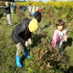Wycieczka na plantację borówki