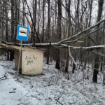 Drzewo runęło na przystanek