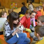 O tym co spada na cztery łapy