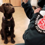 Nowe przewodniczki i ich podopieczni