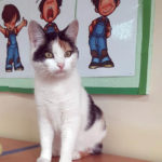 Jest żywą istotą, która czuje, ma swoje potrzeby i wymaga troski…