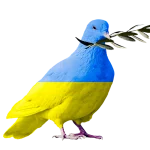 Darmowy kurs języka polskiego online po ukraińsku