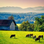Hurtownia rolnicza – 2 cechy, po których poznasz solidne miejsce