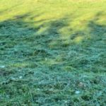 Czytelnicy pytają. Czy tak należy kosić trawę na boisku