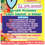 Zapraszamy na V „Mistrzostwa Polski w układaniu puzzli”
