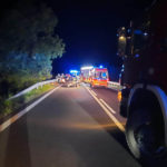 Policjanci pracowali na miejscu wypadku z udziałem łosia