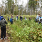 Uczniowie ze Szkoły Podstawowej w Boćwince sadzili las