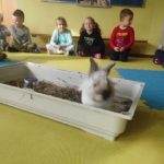 Obchodziły Światowy Tydzień Zwierząt