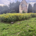 Czytelnicy informują