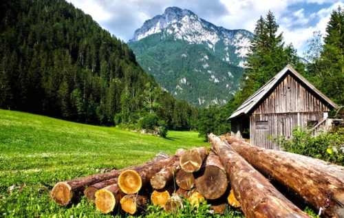 Drewniana chatka w górach, obok leżące pale drewniane
