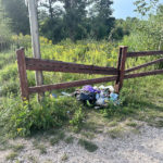 Ad vocem komentarza, czyli o odwracaniu kota ogonem