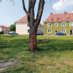 Poniedziałkowa, nadzwyczajna sesja Rady Miejskiej