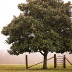 Pożyczki hipoteczne dla małych firm: droga do rozwoju i stabilności finansowej