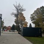 Czytelnicy informują. Drzewo stwarza zagrożenie