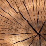 Obróbka drewna- najważniejsze informacje i niezbędne narzędzia
